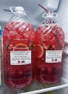 Nollkolhydrat-hibiskusbär-detox-iste