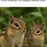 15 lukter som ekorrar, jordekorrar och andra småkryp i din trädgård absolut hatar