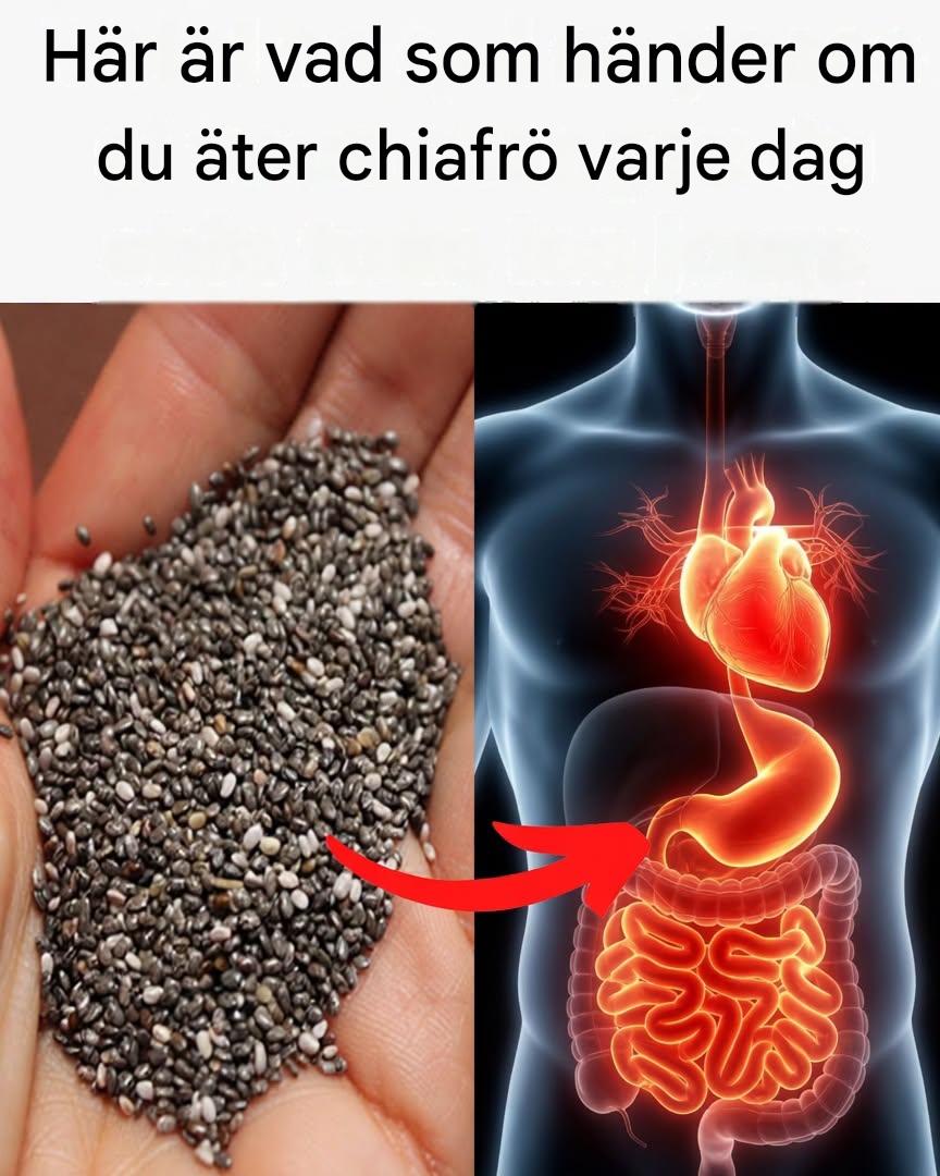 Vad händer när du börjar äta chiafrön varje dag