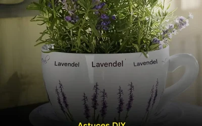 Hur man odlar lavendel hemma (även i en enkel kopp)
