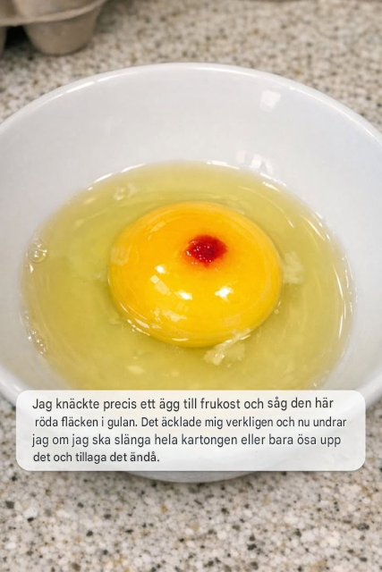 Jag knäckte precis ett ägg och hittade en röd fläck i äggulan – ska jag slänga den?
