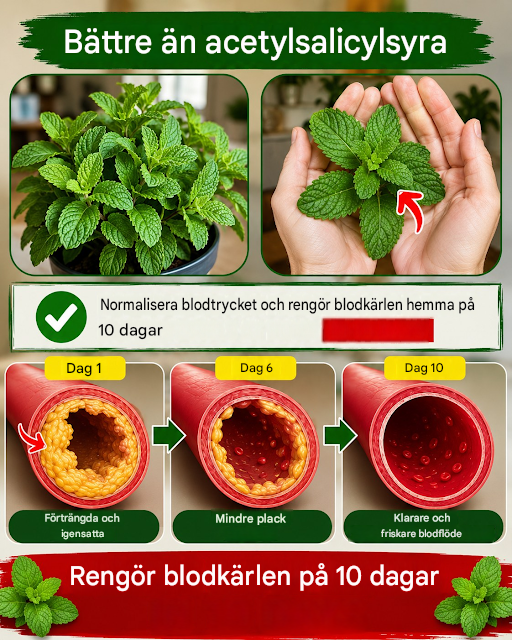 Hemligheten som få känner till. Lås upp dina artärer utan droger. Och stärk ditt hjärta! För att fortsätta få mina recept behöver du bara säga