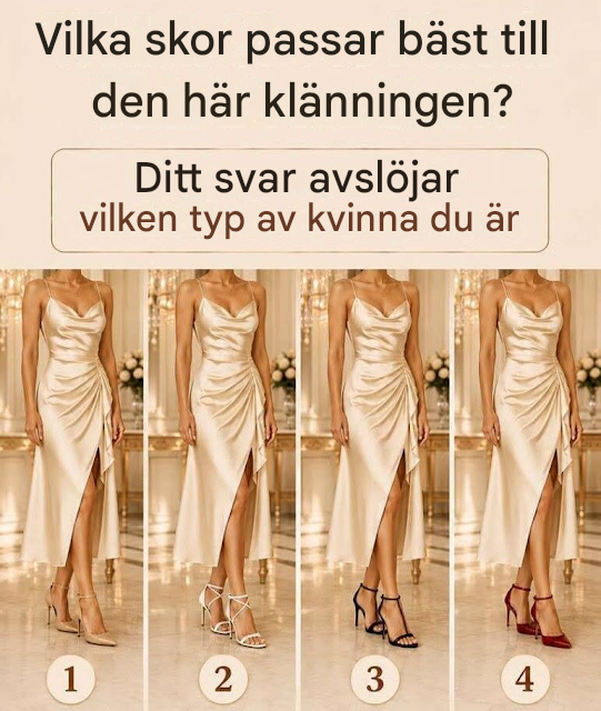 Vilka skor passar bäst i den här klänningen?