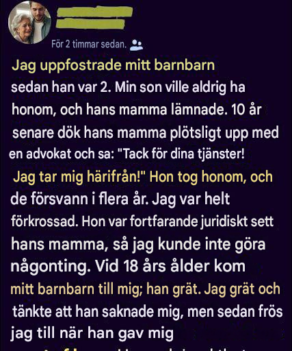 Hon tog mitt barnbarn ifrån mig efter att jag uppfostrat honom – år senare återvände han förändrad