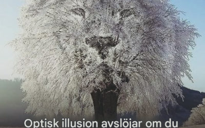 Det första du lägger märke till kan avslöja något om din personlighet