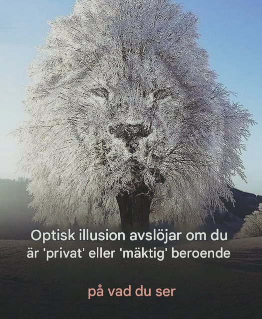 Det första du lägger märke till kan avslöja något om din personlighet