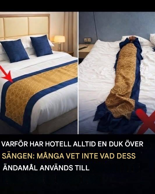 Jag hade ingen aning 🤔👇