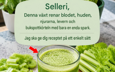 Denna växt rengör blod, hud, njurar, lever och bukspottkörtel i ett enda drag. Men gör det på det här sättet… För att fortsätta få mina recept behöver du bara säga…