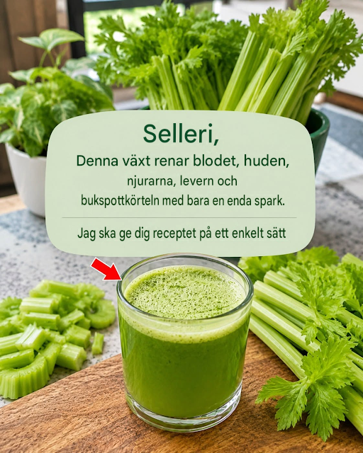 Denna växt rengör blod, hud, njurar, lever och bukspottkörtel i ett enda drag. Men gör det på det här sättet… För att fortsätta få mina recept behöver du bara säga…