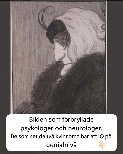 Ett fåtal kan se de dubbla bilderna på detta vykort – kan du? Har du någonsin tittat på en bild och lagt märke till något helt annat än vad alla andra såg?   Vid första anblicken kan det verka som ett vanligt vintagevykort – ett charmigt landskap, ett elegant porträtt eller en fridfull landsbygdsscen. Men så pekar någon ut ett dolt ansikte, en andra bild eller en skickligt förklädd figur, och plötsligt kan man inte göra sig av med det.  Det är ett av de där förtjusande ögonblicken som påminner oss om att våra hjärnor inte bara “ser” världen – de tolkar den.  Nyligen har ett gammalt vykort med en smart dold dubbelbild cirkulerat online och fängslat pusselälskare, historieentusiaster och alla som gillar en bra visuell utmaning. Vissa människor upptäcker den dolda bilden direkt. Andra stirrar på den i flera minuter innan hemligheten slutligen avslöjar sig.  Så, vad gör dessa mystiska vykort så fascinerande?  Låt oss titta närmare på konsten, psykologin och historien bakom dubbelbildsillusioner – och varför de fortsätter att förvåna människor mer än ett sekel efter att många av dem först skapades.  Mer än bara ett vykort Gamla vykort var inte alltid enkla souvenirer.  Under slutet av 1800-talet och början av 1900-talet blev vykort konstverk i miniatyr. Konstnärer experimenterade med smarta kompositioner, dolda betydelser, optiska knep och visuella pussel utformade för att överraska betraktaren.  Till skillnad från dagens digitala bilder skapades dessa illustrationer helt för hand.  Varje skugga.  Varje rad.  Varje kurva.  Varje detalj placerades noggrant för att skapa mer än ett sätt att se bilden.  Vissa vykort dolde ansikten i landskap.  Andra förvandlade blommor till porträtt.  Vissa blandade djur och människor så sömlöst att tittarna ofta förbisåg en bild helt.  Dessa konstnärliga tekniker förvandlade vanliga vykort till konversationsartiklar.  Magin med dubbla bilder En dubbelbild är precis vad det låter som – en illustration som innehåller två olika bilder.  Till en början låser sig din hjärna på det uppenbara ämnet.  Kanske är det ett berg.  En kvinna.  En by.  Ett träd.  Men gömd inuti samma teckning finns en annan bild som väntar på att bli upptäckt.  När du väl märker det förändras din uppfattning.  Plötsligt känns originalbilden nästan sekundär.  Denna förmåga att “växla” mellan två tolkningar är det som gör optiska illusioner så tillfredsställande.  Våra hjärnor tycker om att lösa pussel.  Att hitta den dolda bilden känns som att låsa upp en hemlighet.  Varför vissa människor upptäcker det snabbare Du kanske har hört påståenden om att “bara en procent av människor kan se det”.  I verkligheten finns det få vetenskapliga bevis som stöder sådana specifika procentsatser för enskilda bilder.  Vad påverkar hur snabbt någon upptäcker en dold bild?  Flera faktorer spelar roll:  Uppleva Människor som gillar visuella pussel blir bättre på att känna igen ovanliga mönster.  Deras hjärnor lär sig var dolda bilder vanligtvis placeras.  Förväntningar Om någon säger att det finns en annan bild gömd inuti en bild, börjar du naturligtvis leta efter den.  Utan den ledtråden kanske du aldrig märker det.  Uppmärksamhet Ibland beror skillnaden på var blicken landar först.  En liten förändring i fokus kan helt förändra vad din hjärna tolkar.  Tålamod Många pussel med dolda bilder belönar långsam observation.  Ju längre du tittar, desto fler möjligheter har din hjärna att omorganisera visuell information.  Psykologin bakom optiska illusioner Våra ögon “ser” faktiskt inte föremål på det sätt vi ofta föreställer oss.  Istället samlar de ljus.  Din hjärna bearbetar sedan informationen och konstruerar det du uppfattar.  Denna process sker otroligt snabbt.  Normalt sett är det anmärkningsvärt noggrant.  Men optiska illusioner utnyttjar genvägar som hjärnan använder när de tolkar visuell information.  Istället för att noggrant analysera varje detalj fyller din hjärna ofta i luckor automatiskt.  Konstnärer som förstår dessa genvägar kan skapa häpnadsväckande effekter.  Det är därför en samling löv plötsligt kan bli ett mänskligt ansikte.  Eller varför två orelaterade former kan smälta samman till en helt annan bild.  Dolda ansikten genom historien Dubbelbildskonst har funnits i århundraden.  Konstnärer har länge njutit av att utmana betraktaren att upptäcka dolda betydelser.  Några kända exempel inkluderar:  Ansikten skapade av frukt och grönsaker.  Porträtt gömda inuti landskap.  Djur förklädda till hushållsföremål.  Mänskliga figurer som kommer ut ur trädgrenar.  Det här var inga misstag.  De var avsiktliga demonstrationer av konstnärlig kreativitet och observationsförmåga.  Många tittare övervägde att upptäcka den dolda bilddelen av underhållningen.  Den sociala sidan av utmaningen En anledning till att dessa vykort fortsätter att bli virala på nätet är enkel:  Folk älskar att dela med sig av upptäckter.  Tänk dig två vänner som tittar på samma bild.  Man ser omedelbart den dolda bilden.  Den andra insisterar på att ingenting finns där.  Några ögonblick senare…  “Jag ser det!”  Det ögonblicket skapar överraskning, skratt och samtal.  Det är en upplevelse som människor naturligtvis vill dela med andra.  Sociala medier har förstärkt den traditionen.  Istället för att skicka vykort runt i vardagsrummet jämför miljontals människor nu observationer online.  Varför din hjärna ändrar sig En fascinerande aspekt av dubbelbildsillusioner är vad som händer efter att du hittat den dolda bilden.  Man kan sällan återgå till att bara se originalbilden.  Din hjärna har lärt sig en annan tolkning.  Från den tidpunkten och framåt tenderar det att växla mellan båda versionerna.  Psykologer kallar ibland detta för perceptuell växling.  Ingen av tolkningarna är felaktig.  Din hjärna växlar helt enkelt mellan två lika giltiga sätt att organisera visuell information.  Det är en påminnelse om att uppfattningen inte är fast.  Den är flexibel.  Hur konstnärer skapar dolda bilder Att skapa framgångsrika dubbelbilder kräver anmärkningsvärd planering.  Konstnärer börjar ofta med ett huvudämne.  Sedan identifierar de naturliga former som kan tjäna flera syften.  Till exempel:  En trädstam kan bli en persons näsa.  Moln kan bilda hår.  Kullar kan avgränsa en panna.  Floder kan definiera ansiktsdrag.  Byggnader kan bli ögon eller munnar.  Utmaningen är att se till att båda bilderna förblir övertygande.  Om en bild blir för uppenbar försvinner illusionen.  Om det är för subtilt kanske tittarna aldrig upptäcker det.  Att uppnå den perfekta balansen kräver enorm konstnärlig skicklighet.  Varför vintagekonst fortfarande fascinerar oss Trots framsteg inom datorgrafik fortsätter vintage optiska illusioner att dra till sig uppmärksamhet.  Kanske beror det på att de känns mer personliga.  Någon ritade dem för hand.  Varje dold detalj krävde fantasi snarare än programvara.  Dessa verk påminner oss om att kreativitet inte är beroende av teknologi.  Konstnärer för generationer sedan förstod mänsklig perception anmärkningsvärt väl.  De visste exakt hur man skulle styra uppmärksamheten, skapa tvetydighet och belöna noggrann observation.  Deras arbete är fortfarande underhållande än idag.  Kan optiska illusioner förbättra observationsförmågan? Även om det inte magiskt förändrar någons intelligens att lösa visuella pussel, kan optiska illusioner uppmuntra till vanor som är användbara i vardagen.  De inbjuder oss till:  Sakta ner.  Titta noga.  Överväg flera tolkningar.  Ifrågasätt första intryck.  Uppskatta detaljer.  Dessa är värdefulla färdigheter i många situationer utöver konsten.  Oavsett om man granskar fotografier, läser information eller löser problem, leder det ofta till bättre förståelse att ta sig tid att observera noggrant.  Glädjen i att titta två gånger Det moderna livet uppmuntrar till snabbhet.  Vi scrollar snabbt.  Vi skummar igenom rubrikerna.  Vi tittar bara på bilderna i några sekunder.  Konstverk med dolda bilder uppmuntrar det motsatta.  Den ber oss att pausa.  Att granska.  Att lägga märke till.  Ibland är de mest intressanta detaljerna inte omedelbart uppenbara.  De belönar nyfikenhet.  Det är en del av det som gör dessa vykort så tidlösa.  De påminner oss om att första intrycket inte alltid är komplett.  Utmana dig själv Nästa gång du stöter på ett vykort med dold bild, motstå frestelsen att omedelbart leta efter svaret.  I stället:  Studera hela bilden.  Lägg märke till upprepade former.  Titta på det negativa utrymmet.  Försök att titta på bilden lite längre bort.  Rotera den om möjligt.  Viktigast av allt, ge dig själv tid.  Ibland dyker den dolda bilden upp när man slutar tvinga sig själv att hitta den.  Slutsats Den bestående populariteten för vykort med dubbla bilder handlar egentligen inte om att upptäcka en hemlig bild.  Det handlar om att uppleva den underbara flexibiliteten i mänsklig uppfattning.  Ena stunden ser du ett fridfullt landskap.  Nästa steg är ett elegant ansikte som framträder ur samma samling av linjer.  Ingenting i bilden förändrades.  Bara din tolkning gjorde det.  Den enkla förändringen påminner oss om att observation är en aktiv process.  Vi tittar inte bara.  Vi uppfattar.  Oavsett om du är en konstälskare, en pusselentusiast eller någon som helt enkelt tycker om att bli överraskad, erbjuder vykort med dolda bilder en härlig påminnelse om att det ofta finns mer att se än vad som först möter ögat.  Så nästa gång någon ger dig ett gammalt vykort och frågar: “Kan du se den dolda bilden?”, skynda dig inte.  Ta en ny titt.  Sedan en till.  För ibland är de största upptäckterna inte dolda för dina ögon – de väntar helt enkelt på att din hjärna ska se dem på ett nytt sätt.
