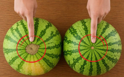KOLLA DET HÄR: Hur man alltid väljer en söt, saftig och perfekt mogen vattenmelon!