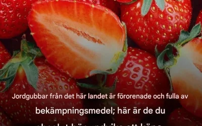 Jordgubbar från skuldlandet bör definitivt undvikas… Vi ses