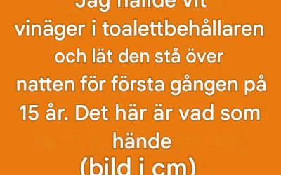 Jag hällde vit vinäger i min toalettbehållare och lät den stå över natten för första gången på 15 år. Det här är vad som hände.