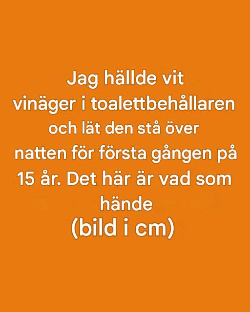 Jag hällde vit vinäger i min toalettbehållare och lät den stå över natten för första gången på 15 år. Det här är vad som hände.