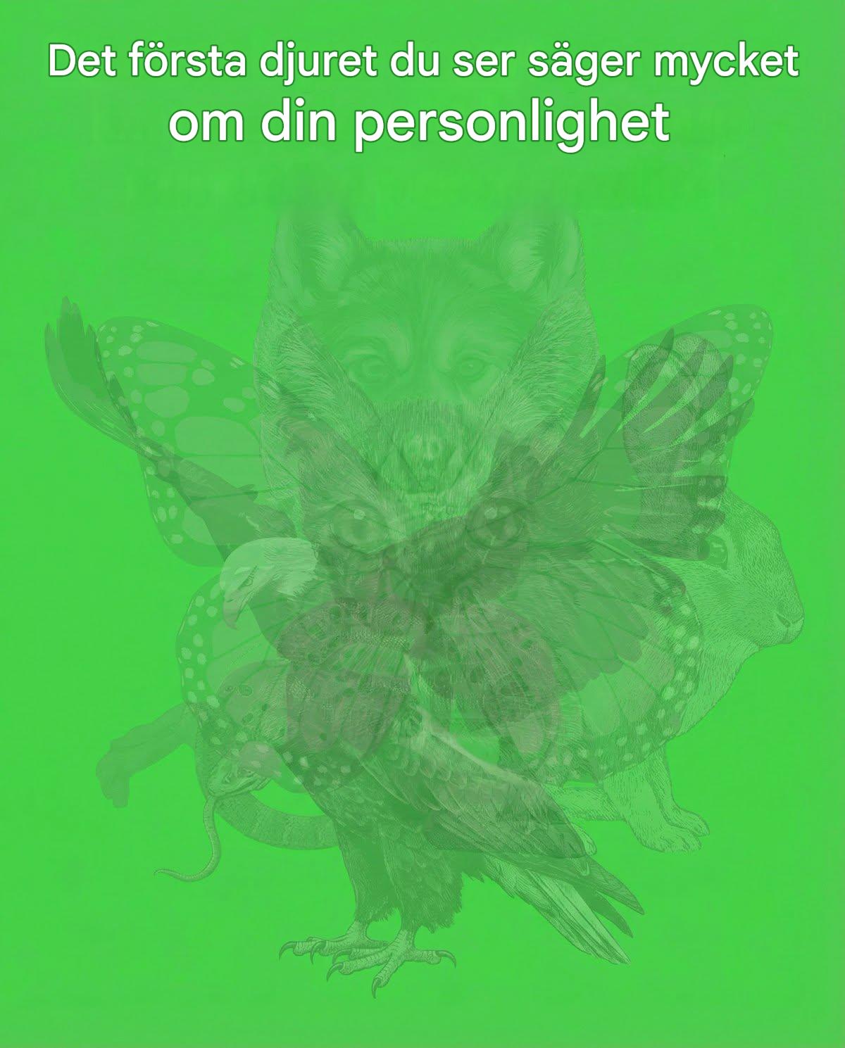Det första djuret du ser säger mycket om din personlighet