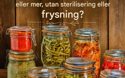 Är det möjligt att bevara hemlagade grönsaker i burkar, som kan förvaras i ett år eller mer, utan sterilisering eller frysning?