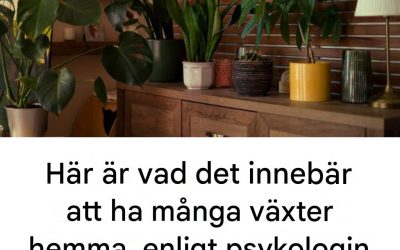 Varför din kärlek till växter säger mycket om din personlighet, enligt psykologiexperter