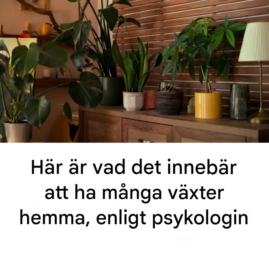 Varför din kärlek till växter säger mycket om din personlighet, enligt psykologiexperter