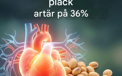 Varför har inte nattokinas ersatt statiner?