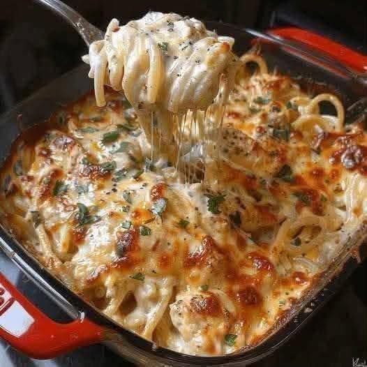 Ostig bakad kyckling Alfredo pasta