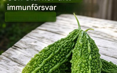 Växten som dödar cancerceller, stoppar diabetes och stärker ditt immunförsvar