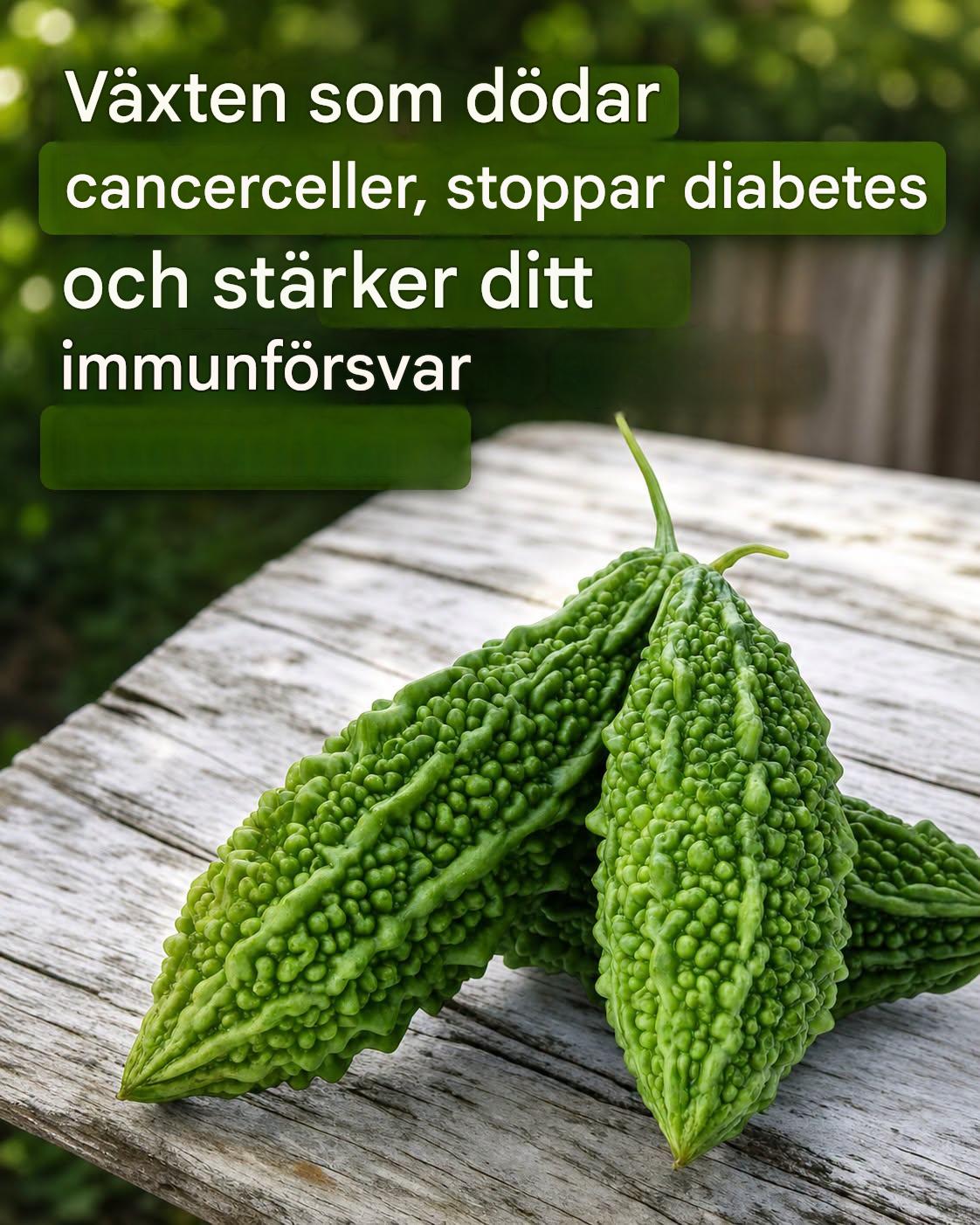 Växten som dödar cancerceller, stoppar diabetes och stärker ditt immunförsvar
