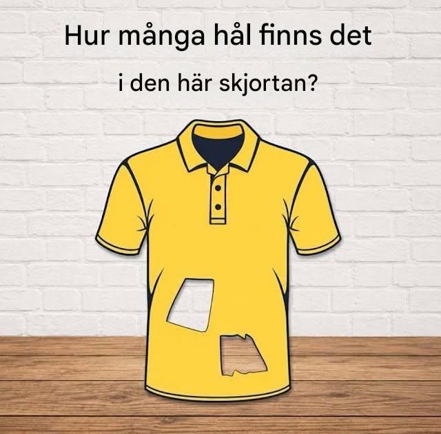 Hur många hål finns det i den här tröjan?