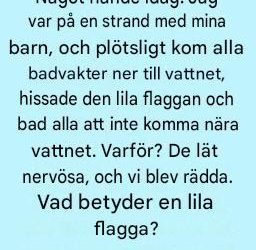 Alla badvakter hissade plötsligt en lila flagga och sa åt alla att hålla sig borta från vattnet. Här är vad flaggan egentligen betyder.