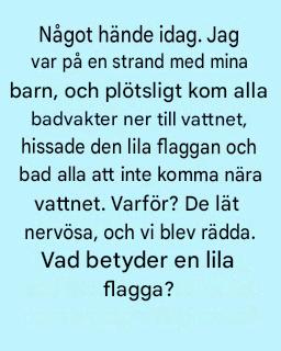Alla badvakter hissade plötsligt en lila flagga och sa åt alla att hålla sig borta från vattnet. Här är vad flaggan egentligen betyder.