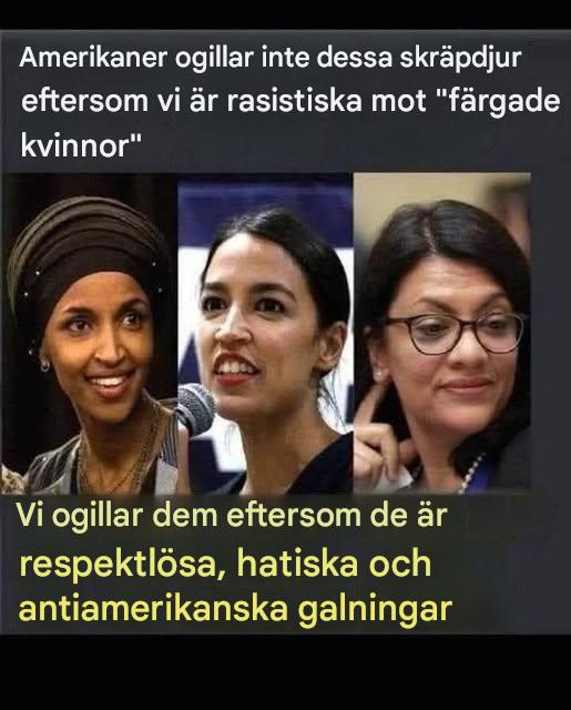 “The Squad” under granskning: Berättelsen om ett foto och 3 kongresskvinnor som skakade Amerika