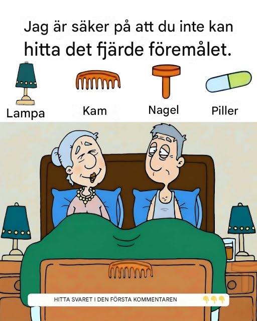 Kan du hitta de 4 gömda föremålen?