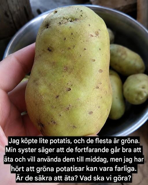 Varför blir potatis grön och kan vi fortfarande äta dem?