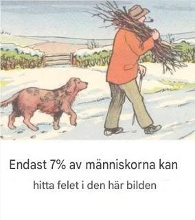 Kan du hitta felet i den här snöiga scenen?