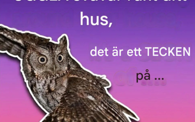 Tysta rovdjur invaderar i hemlighet lugna förortsområden efter mörkrets inbrott och den verkliga anledningen till varför kommer att hålla dig vaken i natt