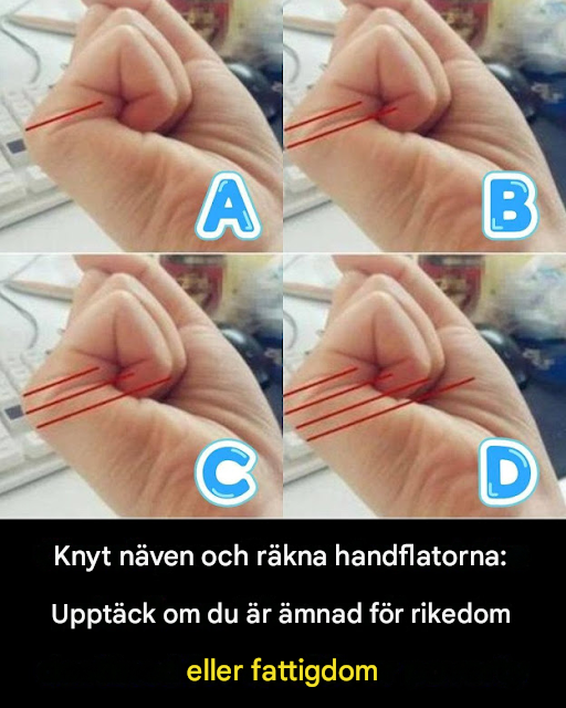 Knyt näven och kontrollera dina handflatlinjer – se vad de kan säga om ditt liv