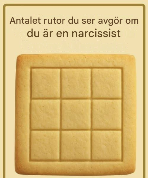 Hur många rutor ser du? En rolig optisk illusion som testar din uppfattning (inte din personlighet)