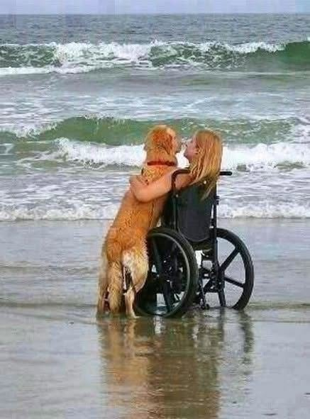 Det obrytbara bandet: Att hitta ljuset efter stormen