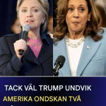 “Den virala bilden som perfekt förklarar Amerikas politiska klyfta”