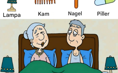 Kan du hitta de 4 gömda föremålen?