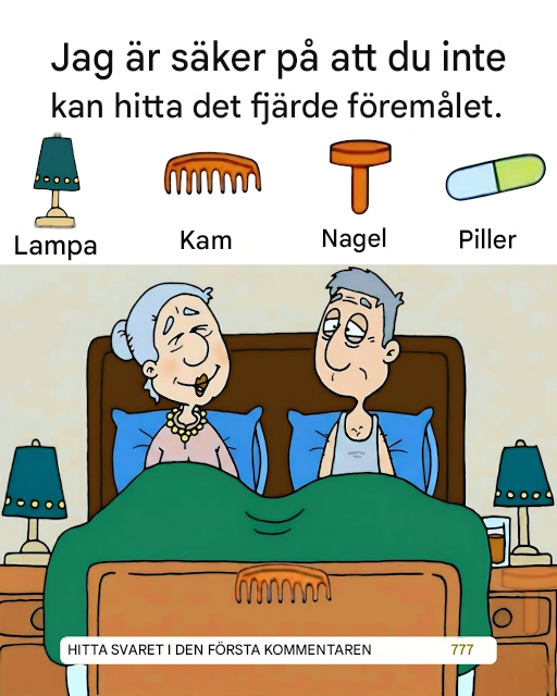 Kan du hitta de 4 gömda föremålen?