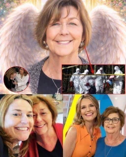 NYHETER: Nancy Guthrie, 84, mamma till Savannah Guthrie, hittades…