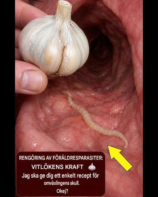 Ett uråldrigt avmaskningsmedel: Vitlökens kraft