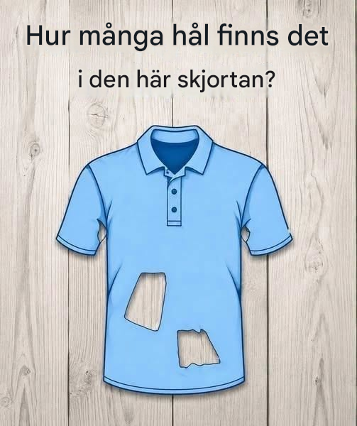 Hur många hål finns det i den här tröjan?