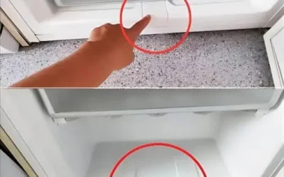 Optimera ditt kylskåps prestanda med detta praktiska tips