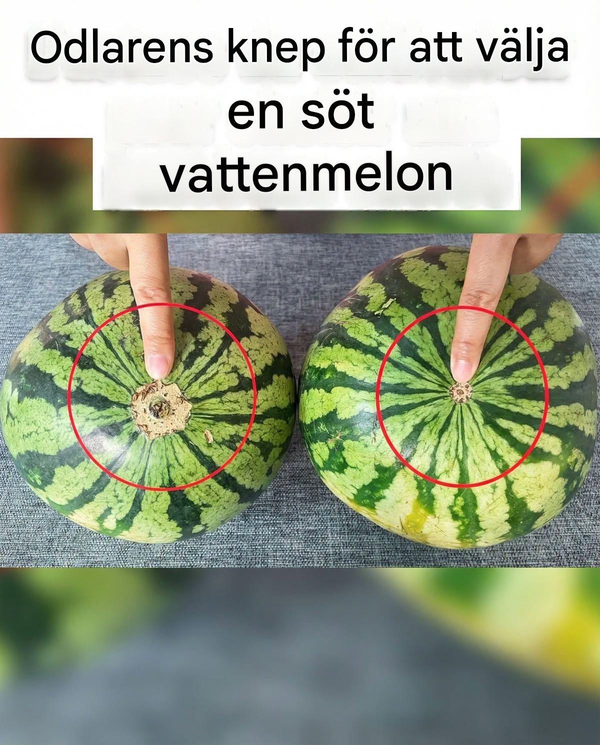 Inga fler smaklösa vattenmeloner! Här är den idiotsäkra visuella detaljen att kontrollera för att få hem den sötaste frukten på marknaden.