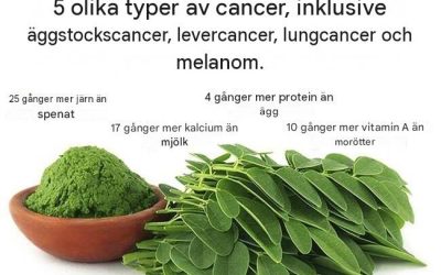 Banbrytande studie: Denna gröna ört kan bota 5 olika typer av cancer, inklusive äggstockscancer, levercancer, lungcancer och melanom.