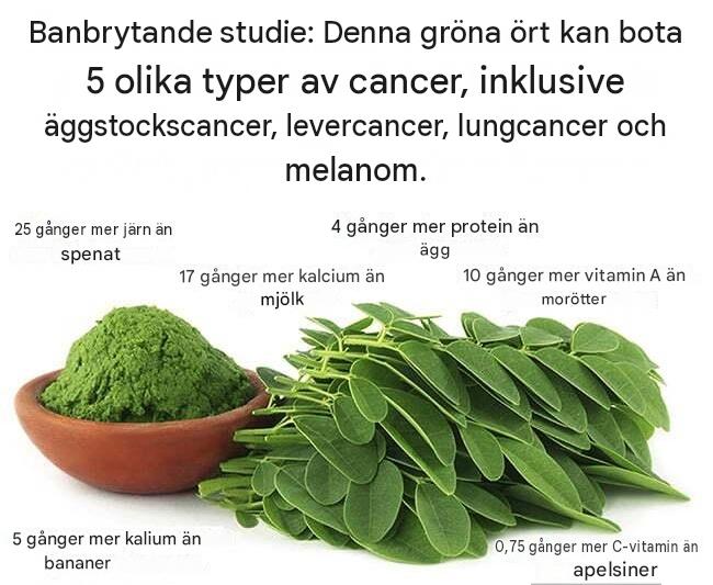 Banbrytande studie: Denna gröna ört kan bota 5 olika typer av cancer, inklusive äggstockscancer, levercancer, lungcancer och melanom.