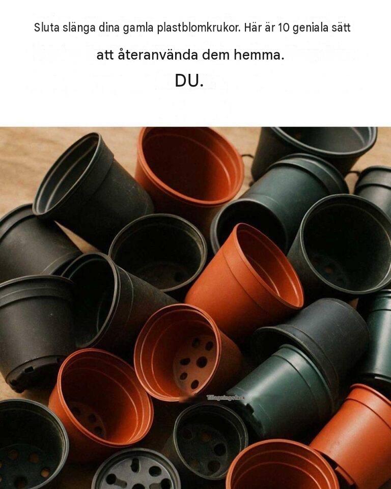 Sluta slänga gamla plastbehållare. Här är 10 briljanta sätt att återanvända dem hemma.