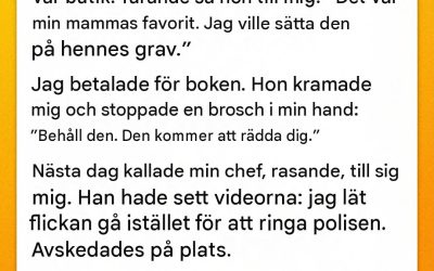 Jag fick betala priset för min vänlighet och förlorade jobbet, men broschen jag fick senare förändrade allt.
