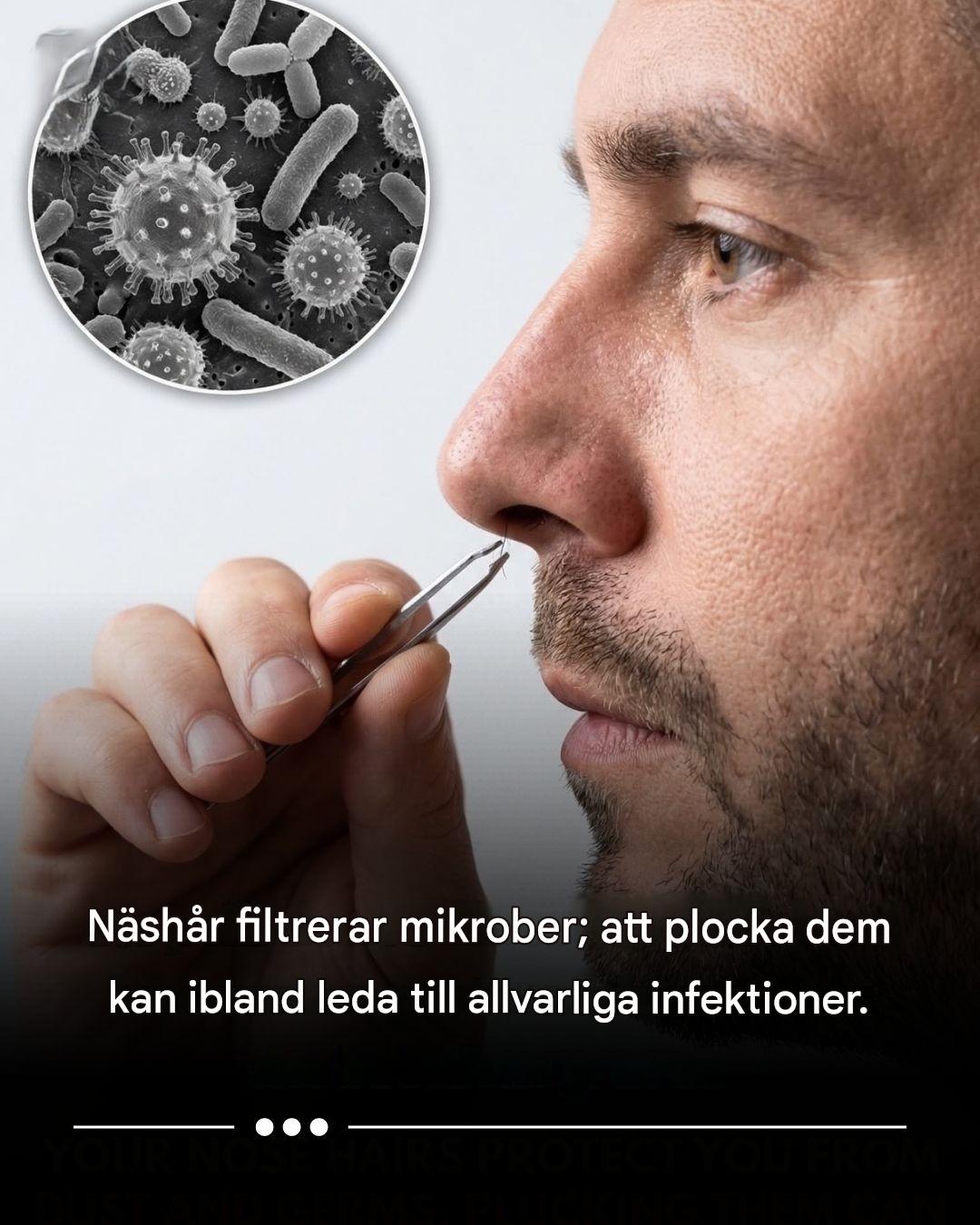 “Näshår filtrerar bort mikrober; att plocka dem kan ibland leda till allvarliga infektioner.”